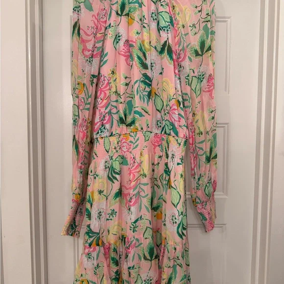 Lilly Pulitzer Ellielynn Dress - Picture 8 of 8